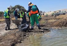 Voluntarios de Cbb realizaron operativo de limpieza en humedal  de La Negra en Antofagasta