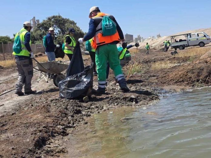Voluntarios de Cbb realizaron operativo de limpieza en humedal  de La Negra en Antofagasta