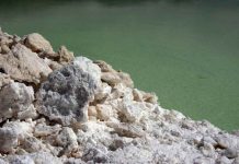 Codelco y SQM reciben aprobación clave para su acuerdo de asociación para explotación de litio