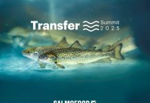 transfer summit de salmofood ampliará conocimientos en smoltificación y trasferencia de salmónidos al mar