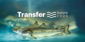 transfer summit de salmofood ampliará conocimientos en smoltificación y trasferencia de salmónidos al mar