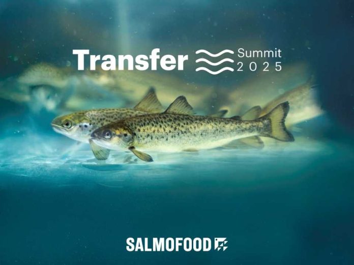 transfer summit de salmofood ampliará conocimientos en smoltificación y trasferencia de salmónidos al mar