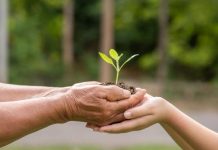 ¿Quieres invertir en conservación verde Estas son las 5 claves que debes saber