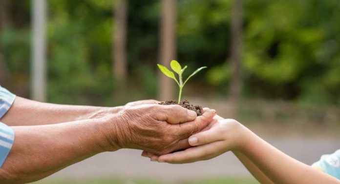 ¿Quieres invertir en conservación verde Estas son las 5 claves que debes saber