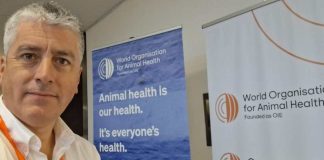 AmiChile participa en taller regional de la OMSA sobre comercio internacional seguro de productos animales