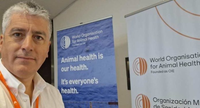 AmiChile participa en taller regional de la OMSA sobre comercio internacional seguro de productos animales