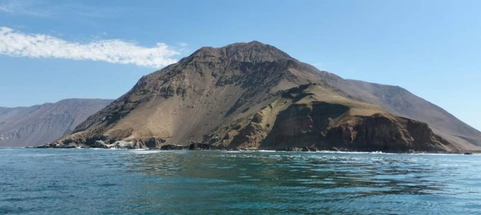 AquaPacífico avanza en estudio pionero para identificar áreas de captación de semillas en el Norte Grande de Chile