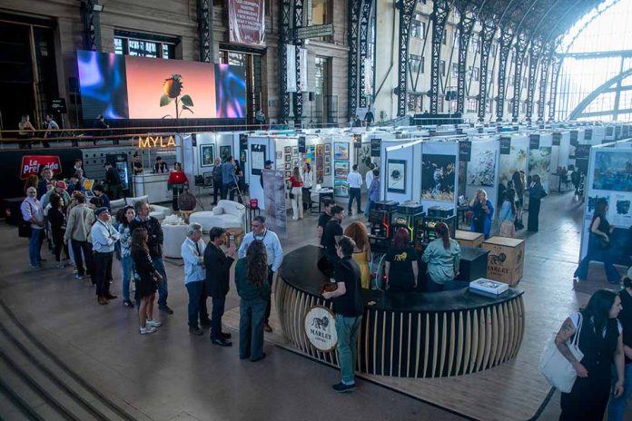 Art Week 2025 | Catalina Rojas fusiona arte, luz e innovación con tecnología Epson