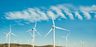 Chubb impulsa la oferta de seguros para el sector de energías renovables en América Latina