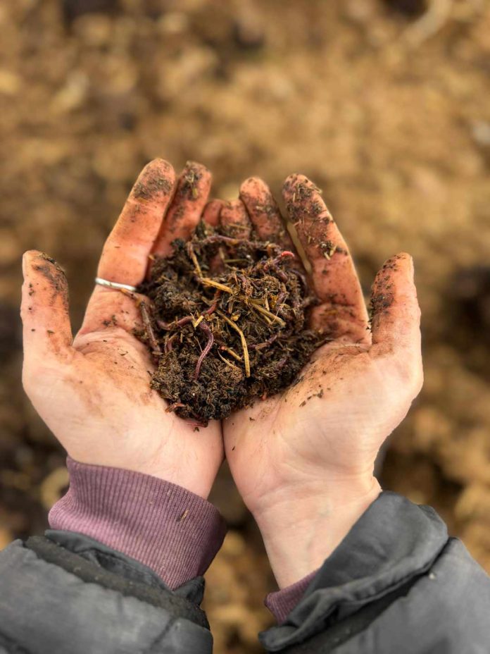 Emiliana es reconocida en los Greens Awards