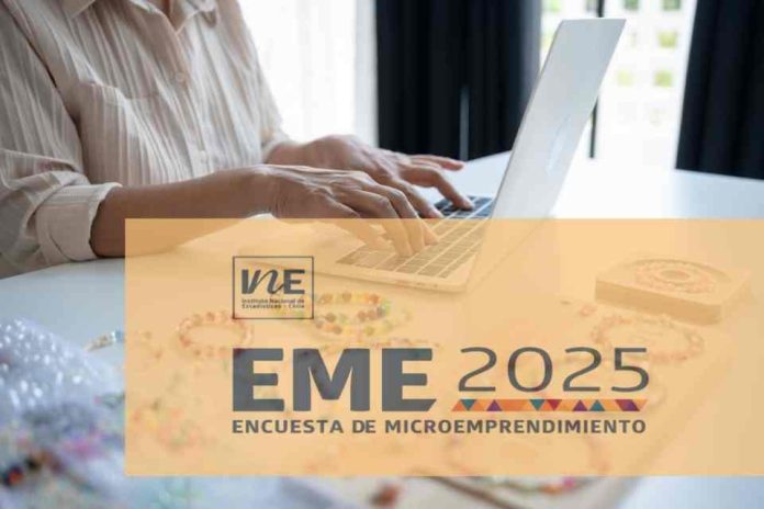 En Chile hay cerca de 2 millones de personas microemprendedoras