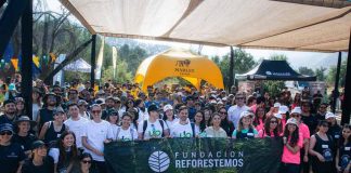 Más de 250 voluntarios hacen historia: Reforestemos impulsa la mayor jornada ciudadana para proteger los bosques nativos de la RM