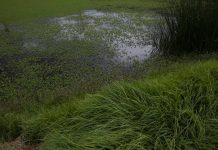 Ministerio de Hacienda presenta el “Catálogo de Costos 2025”, una herramienta para facilitar la estimación de costos financieros en gestión ambiental y políticas públicas en sostenibilidad