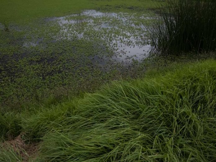 Ministerio de Hacienda presenta el “Catálogo de Costos 2025”, una herramienta para facilitar la estimación de costos financieros en gestión ambiental y políticas públicas en sostenibilidad Ministerio de Hacienda presenta el “Catálogo de Costos 2025”, una herramienta para facilitar la estimación de costos financieros en gestión ambiental y políticas públicas en sostenibilidad