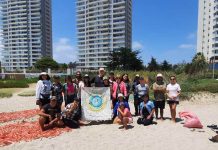 Nuevo estudio chileno revela cómo las lluvias y vientos arrastran basura a nuestras playas