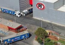 PFalimentos avanza en ciberseguridad con importante certificación internacional PFalimentos avanza en ciberseguridad con importante certificación internacional