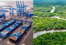 Perú | Puerto de Chancay posiciona a la Amazonía como territorio estratégico, pero requiere de planificación técnica para evitar colapso logístico