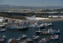 Pescadores llevan a Contraloría resolución de la Subpesca ante nuevo Fraccionamiento: Denuncian ilegalidad que vulnera régimen de acceso y pone en peligro sustentabilidad de los recursos