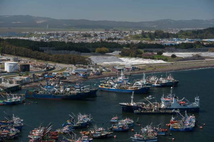 Pescadores llevan a Contraloría resolución de la Subpesca ante nuevo Fraccionamiento: Denuncian ilegalidad que vulnera régimen de acceso y pone en peligro sustentabilidad de los recursos