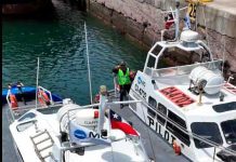 Puerto Antofagasta realiza simulacro PBIP que refuerza la protección de instalaciones críticas Puerto Antofagasta realiza simulacro PBIP que refuerza la protección de instalaciones críticas