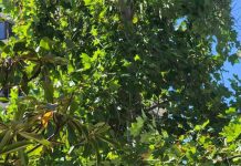 RANKING: Estas son las comunas donde más ha aumentado el valor de los departamentos RANKING: Estas son las comunas donde más ha aumentado el valor de los departamentos