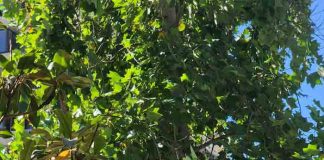 RANKING: Estas son las comunas donde más ha aumentado el valor de los departamentos