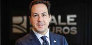 Sostenibilidad: un pilar estratégico para el futuro de la industria aseguradora