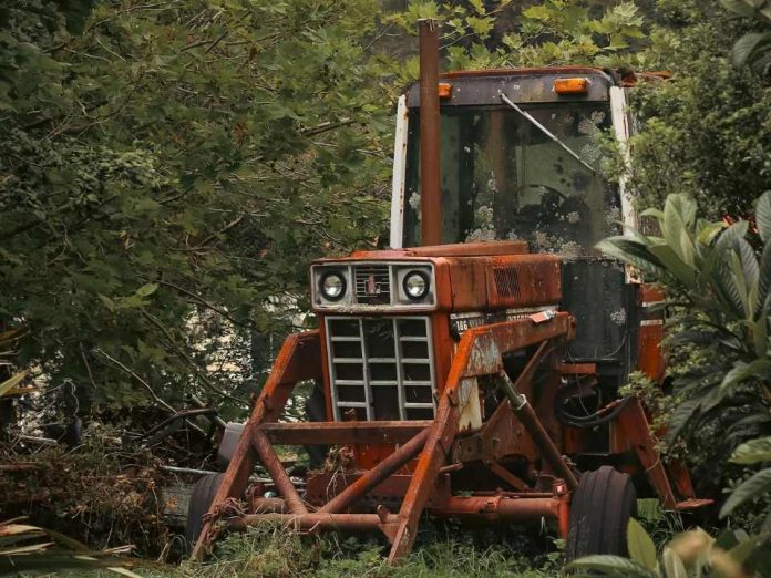 Temporada alta de pastería: abastecimiento oportuno de insumos y mantenimiento preventivo de maquinaria, claves para la eficiencia forrajera