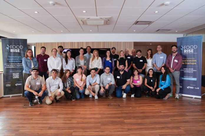 Una startup chilena fue seleccionada entre más de 100 emprendimientos de la región por Eatable Adventures y BID Lab