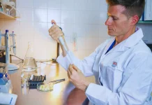 Argentina Chips de mozzarella innovación del INTA para mejorar la nutrición