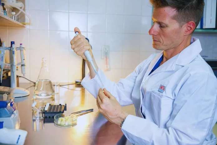 Argentina Chips de mozzarella innovación del INTA para mejorar la nutrición