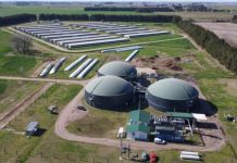 Argentina - La planta bonaerense que convierte efluentes porcinos en electricidad y reduce miles de toneladas de CO₂