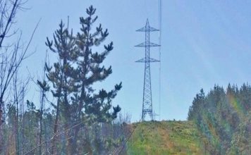CNE autorizó exención de plazo a Transelec para modificación en línea Charrúa–Concepción