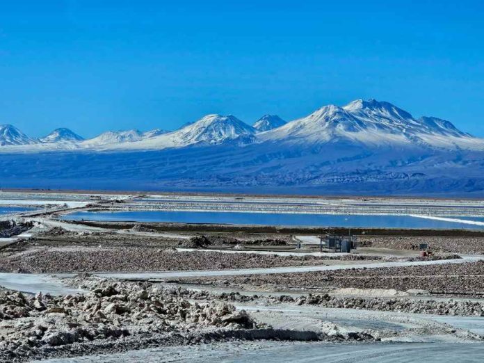 CORFO adjudica proyectos de I+D liderados por el CNP para avanzar en tecnologías de litio y tierras raras