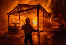 #ChileSinCenizas: Greenpeace lanza petición ciudadana para exigir al Congreso la aprobación de la ley de incendios #ChileSinCenizas: Greenpeace lanza petición ciudadana para exigir al Congreso la aprobación de la ley de incendios