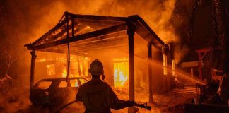 #ChileSinCenizas: Greenpeace lanza petición ciudadana para exigir al Congreso la aprobación de la ley de incendios