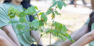 Datos para la educación ambiental
