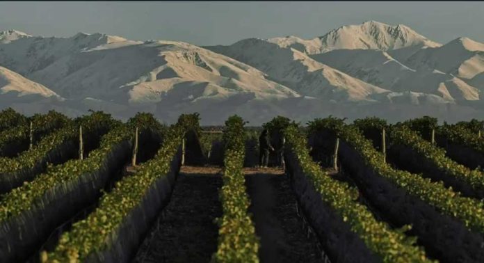 De los medios de molienda al vino premium: Elecmetal y el modelo de grupo diversificado entre Chile y Mendoza De los medios de molienda al vino premium: Elecmetal y el modelo de grupo diversificado entre Chile y Mendoza