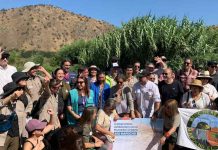 El humedal más emblemático de la RM es una realidad: Autoridades celebran declaración de Río Mapocho