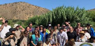 El humedal más emblemático de la RM es una realidad: Autoridades celebran declaración de Río Mapocho