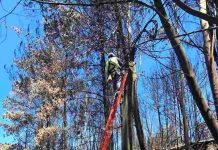 Entel extiende plan de conectividad “Primera Respuesta” en Quellón, Tomé y Penco para apoyar a afectados por incendios