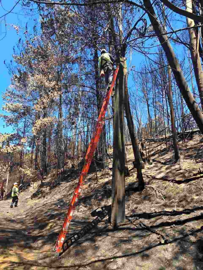 Entel extiende plan de conectividad “Primera Respuesta” en Quellón, Tomé y Penco para apoyar a afectados por incendios (2) Entel extiende plan de conectividad “Primera Respuesta” en Quellón, Tomé y Penco para apoyar a afectados por incendios