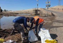 Grupo Cbb participó de operativo de limpieza del humedal La Negra de Antofagasta 