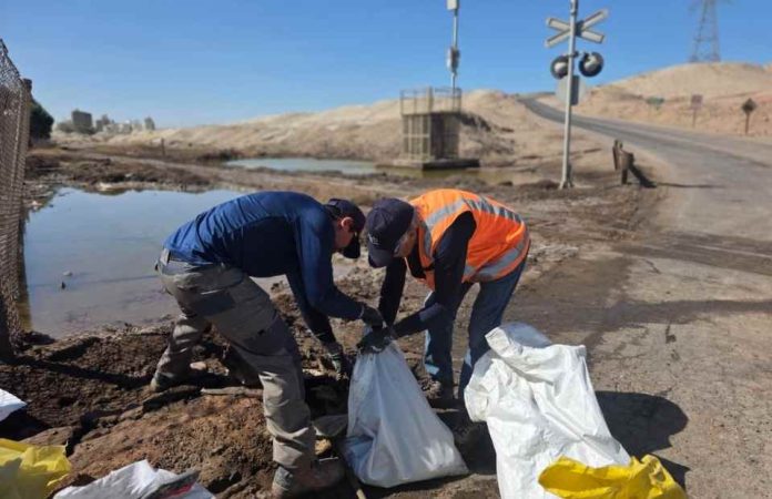 Grupo Cbb participó de operativo de limpieza del humedal La Negra de Antofagasta 