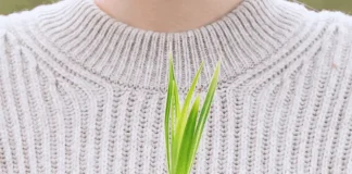 Por segundo año consecutivo: Casaideas reduce emisiones de CO₂ y generación de residuos en sus campañas de marketing