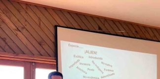 Instalan tecnología de monitoreo marino en Juan Fernández para proteger su biodiversidad