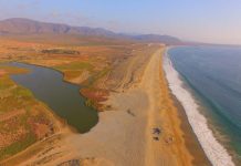 Laguna Adelaida: Diario Oficial publica declaración del primer Humedal Urbano de Coquimbo