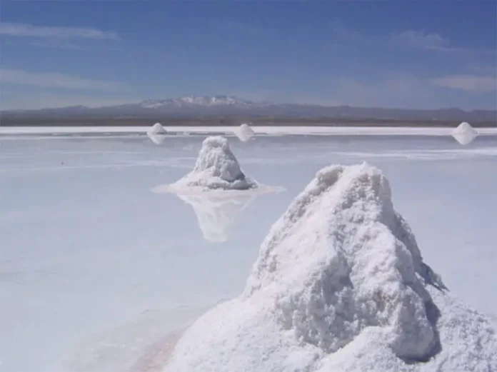 Bolivia perdió la oportunidad de industrializar litio en 2025 por disputas políticas