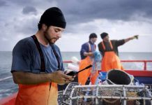 Los aportes estratégicos de la conectividad satelital al sector marítimo y pesquero