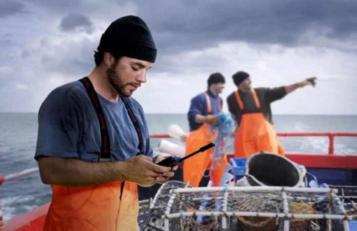 Los aportes estratégicos de la conectividad satelital al sector marítimo y pesquero